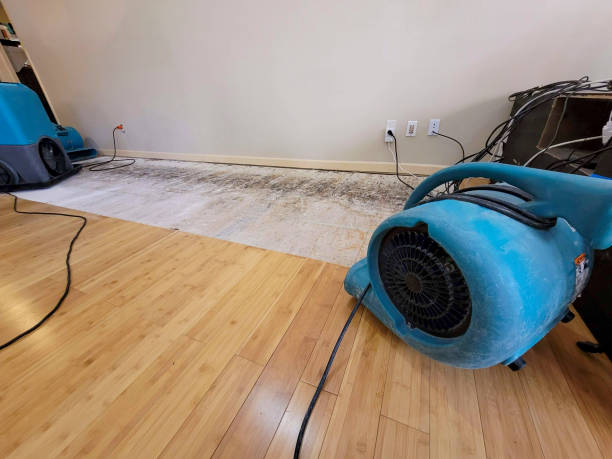 Professional Structural Drying technician working in Blue Springs, MO
